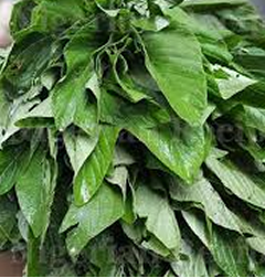 African Food Product